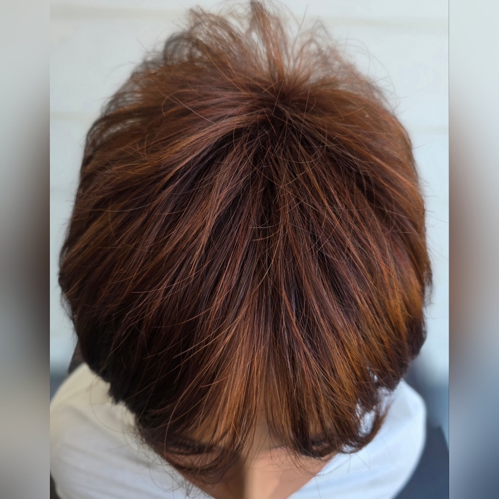 Christi Wig In Chestnut - Picture 6 of 7